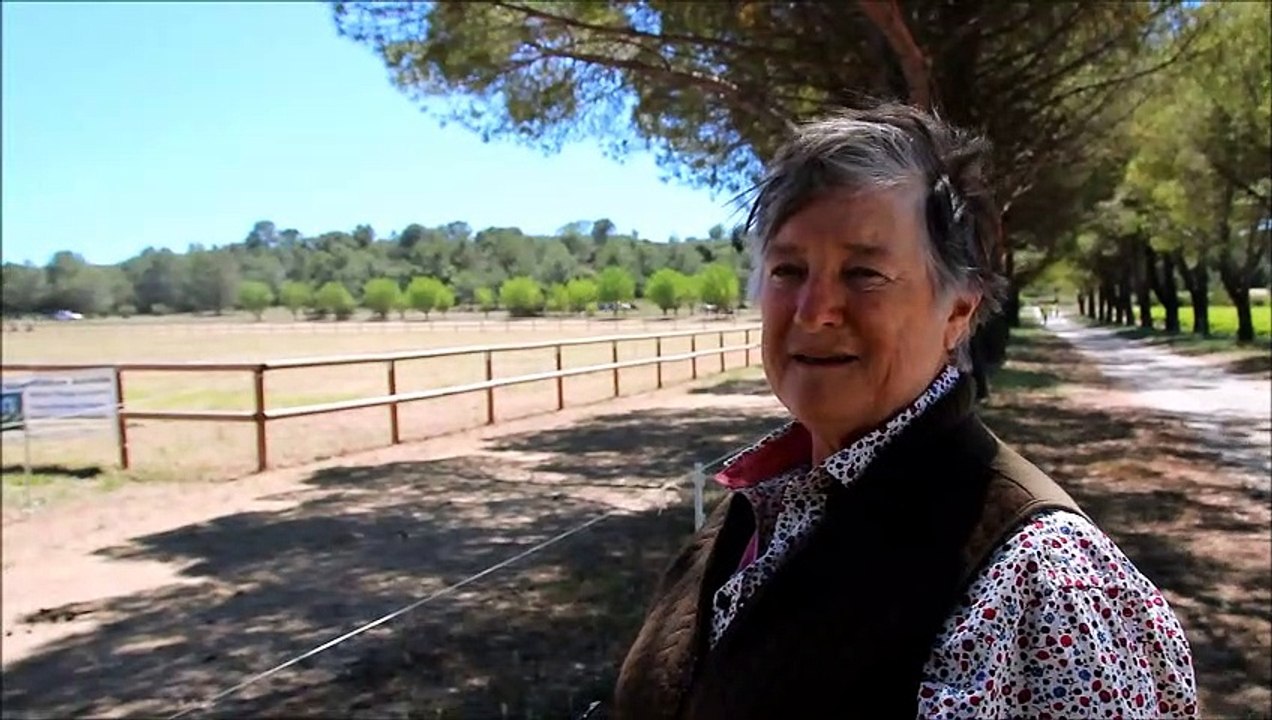 Parignargues : concours d'attelage au domaine de Vallongue