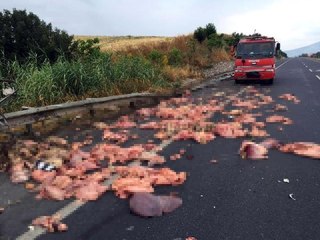 Kamyonet devrildi, kasasındaki sakatatlar yola saçıldı