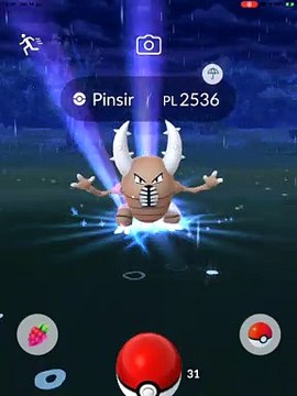 PINSIR IV 100 CP 2536 LIV 30