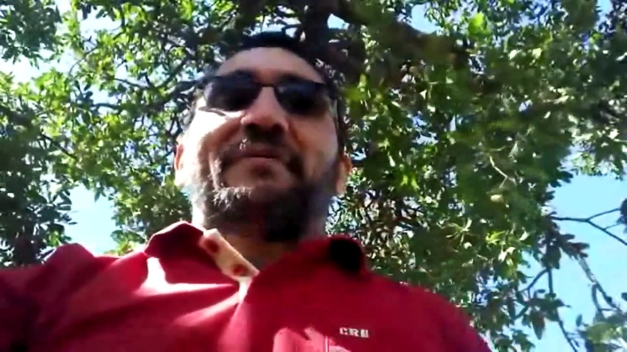 Para De Enganar o Povo, Deixa De Ser Mentiroso.