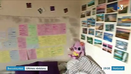 Baccalauréat : ultimes révisions pour les 750 000 candidats