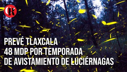 Prevé Tlaxcala 48 mdp por temporada de avistamiento de luciérnagas