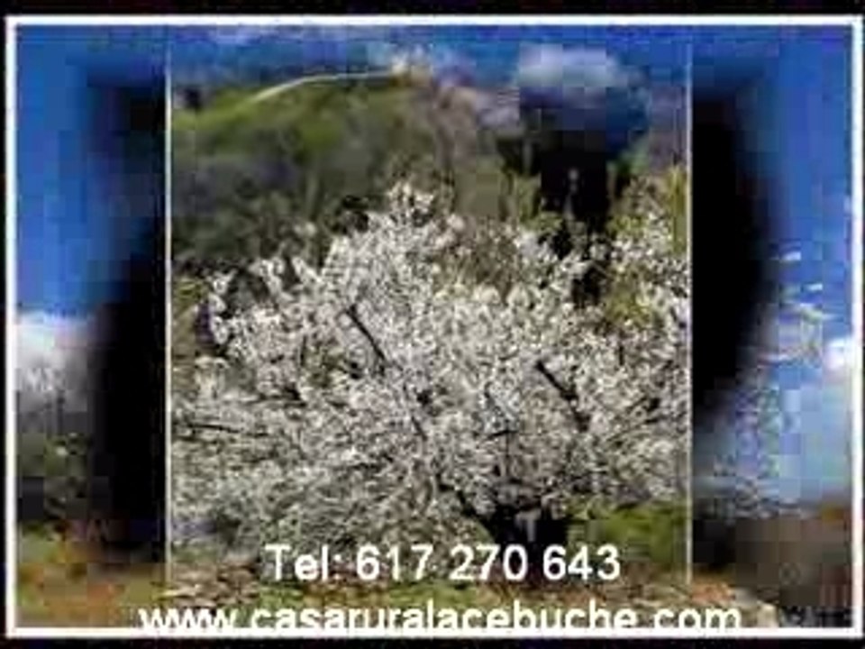 APARTAMENTOS RURALES ACEBUCHE