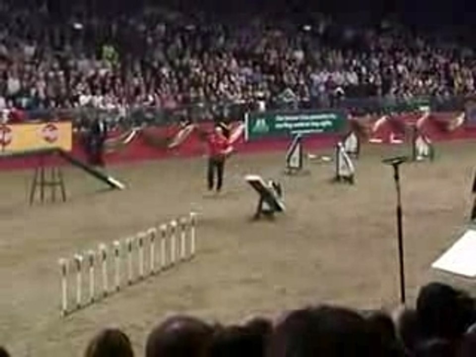 olympia senior agility