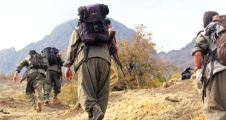 Son dakika! Gri kategorideki terörist etkisiz hale getirildi