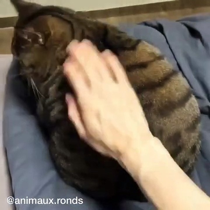 On dirait qu’il a mangé une pastèque. Trop chou !