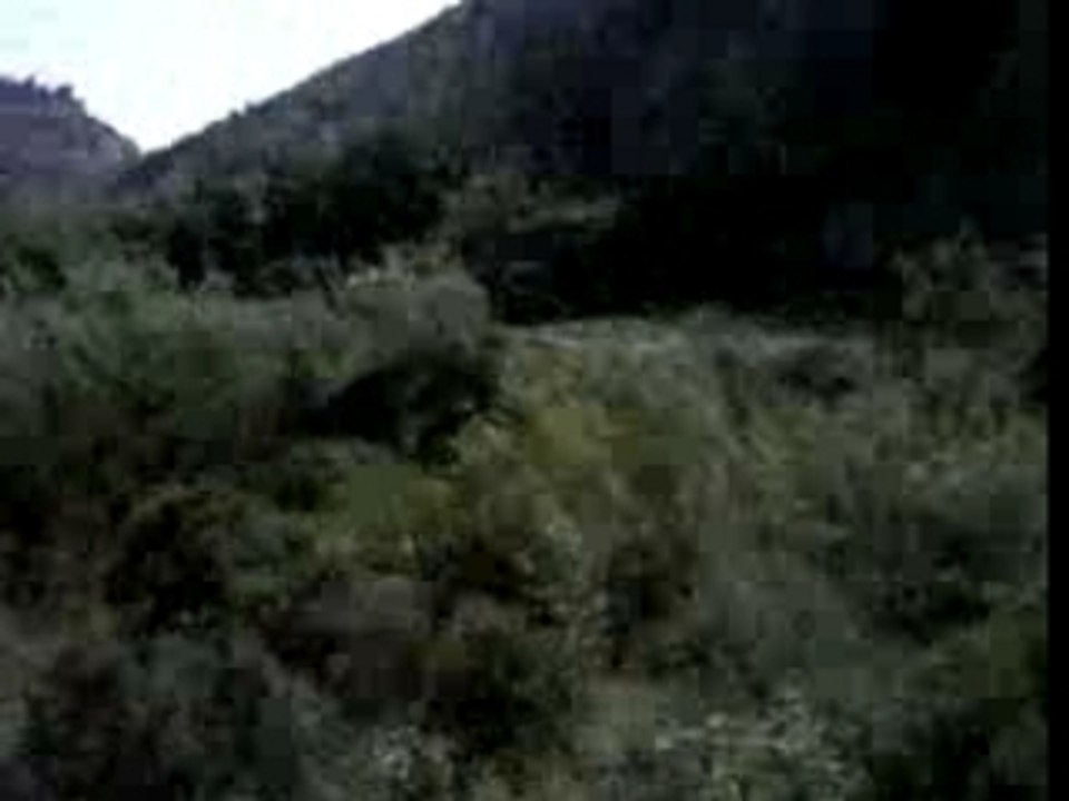 frontiere algerie-maroc