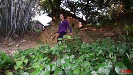 this woman made a noodle tool and a delicious beef noodle