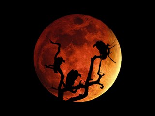 Music Track ~ Blood Moon by Dhruva Aliman