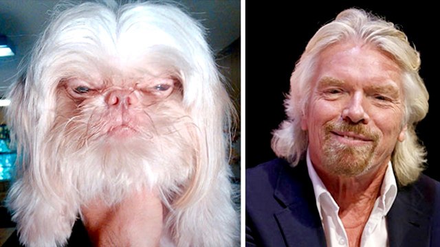 Animals That Look Like Celebrities, Famous People And The Infamous - FUNNY!