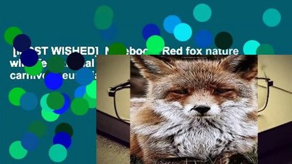 [MOST WISHED]  Notebook: Red fox nature wildlife mammal animal predator fox carnivore eurasia