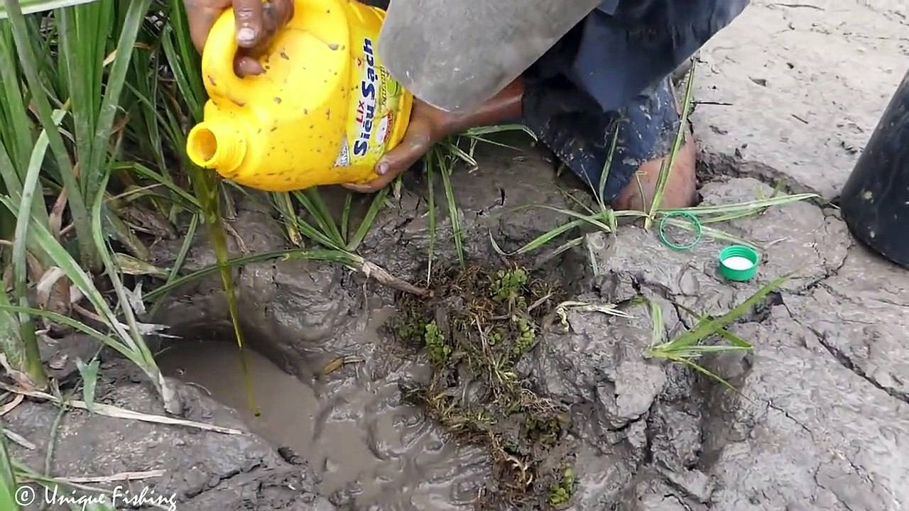 Unique Fishing - Catching Catfish​ in Deep Hole Using Dish Soap Slime - Catfish Fishing by Hand
