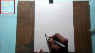 Quick Pen Sketch _ Scenery using pen (391 )