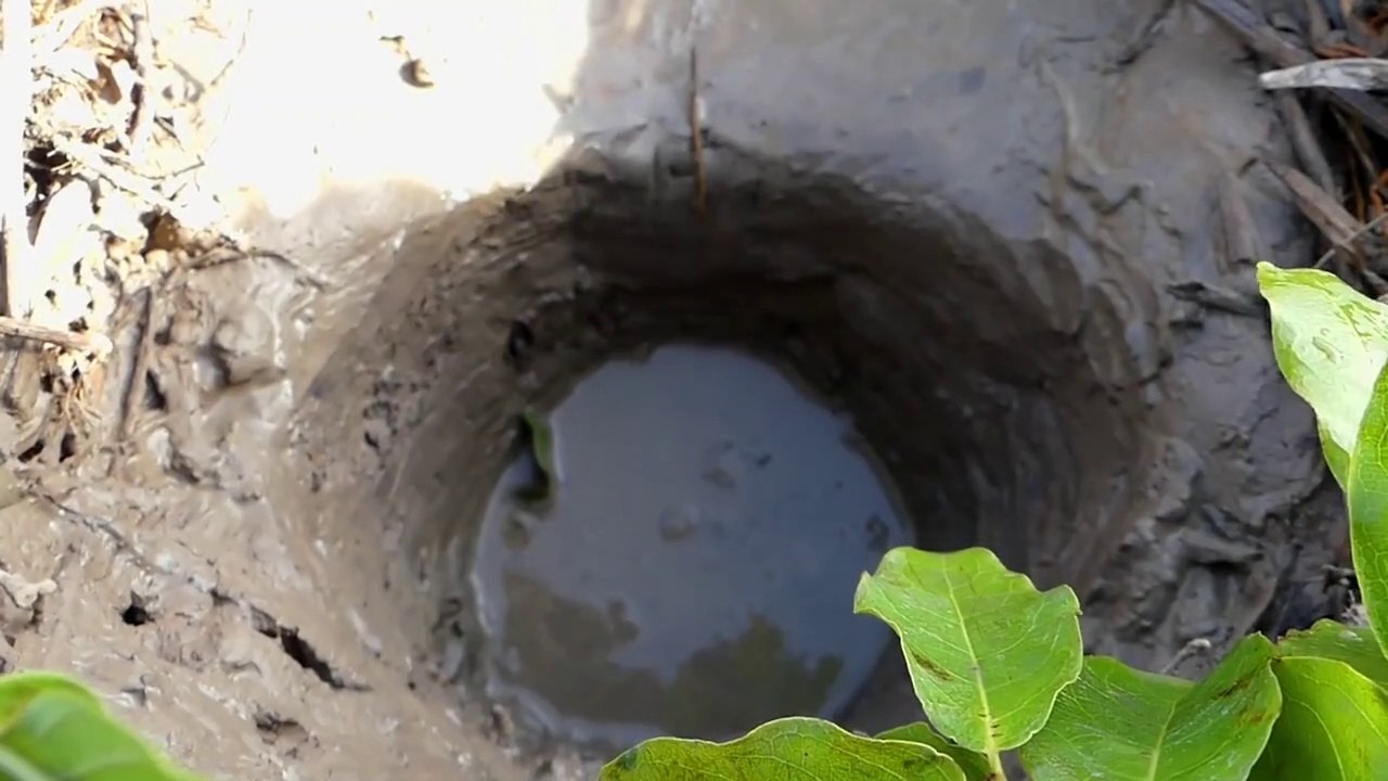 Easy Deep Hole Fish Trap - Hand Fishing - Catching Catfish in Muddy Water By Smart Boy!