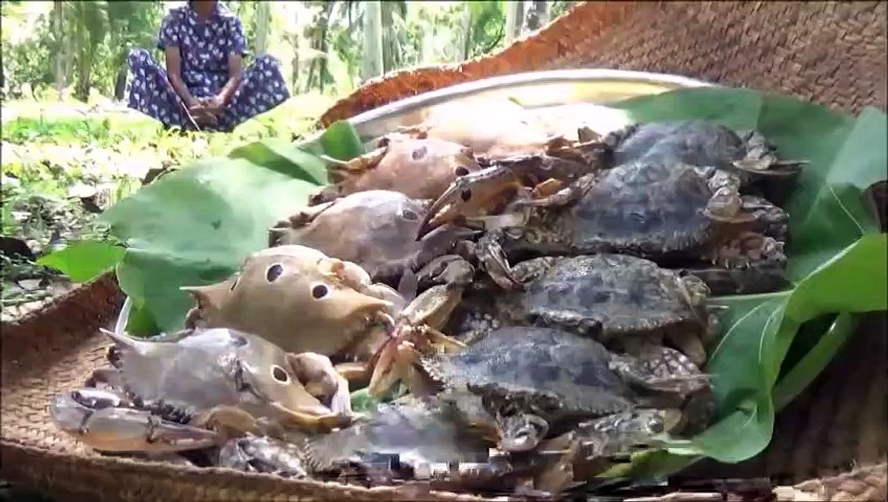 Village de la Nourriture  Cuisine Masala de Crabe au Curry dans mon Village par la grand-mère