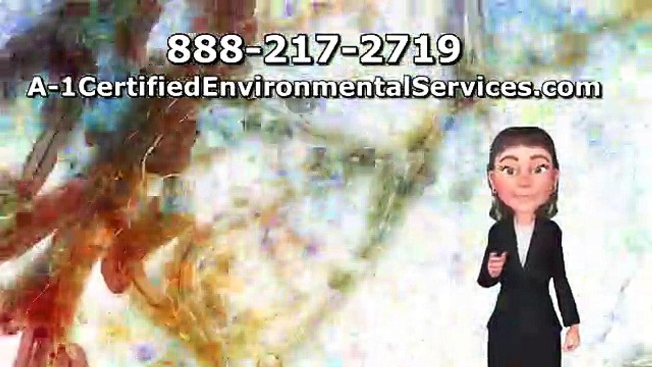 Mold Testing Livermore
