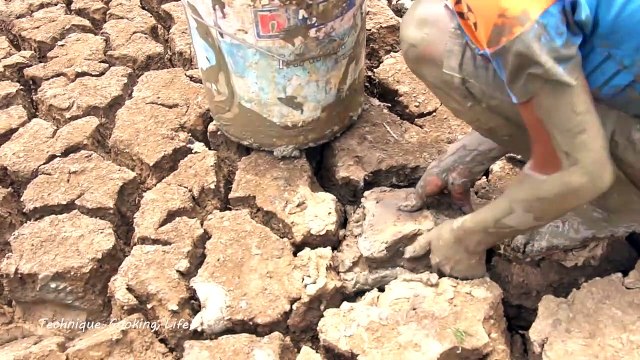 Unique Fishing | Catching Catfish In Dry Season| Find Catfish in Secret Hole Dry