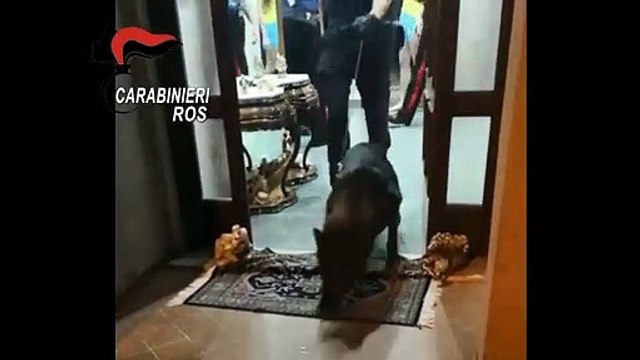 Reggio Calabria - Operazione Edera 30 arresti del Ros per traffico di droga (13.06.19)