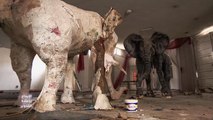 عامل نظافة تونسي يحول النفايات لمجسمات فنية عملاقة