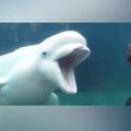 The moment animals are awesome! That's why I LOVE sea CREATURES!