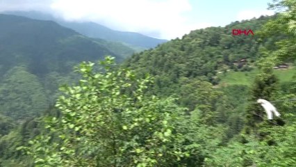 RİZE'DE AĞAÇ EVE 500 METRELİK TELEFERİKLE ULAŞILIYOR