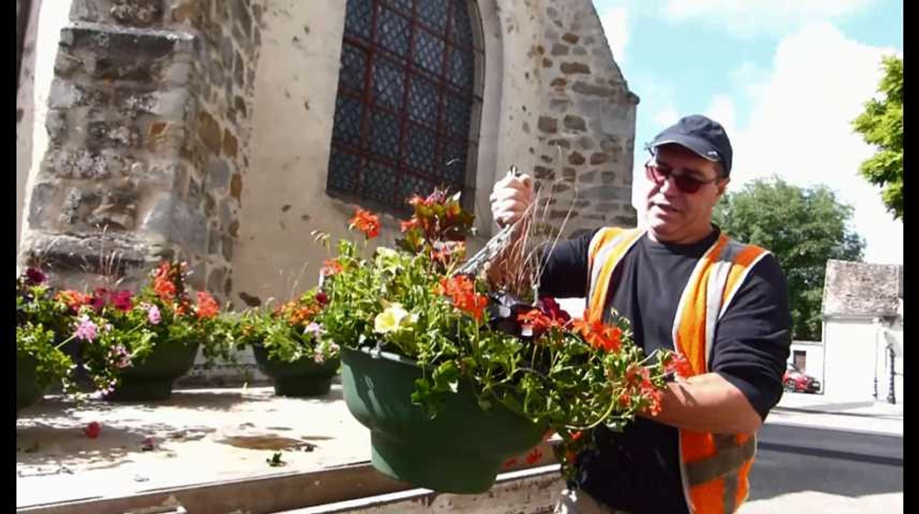 Pont-sur-Seine: des fleurs, un peu, beaucoup…