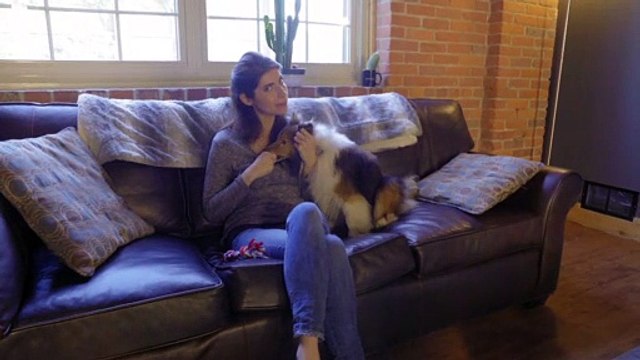 Pet Pee Pickup - Universal Cleaner for Pet’s body fluids