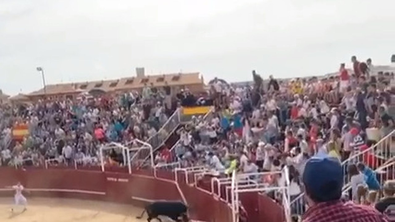 Un torilero fallece en la plaza de toros de Benavente.