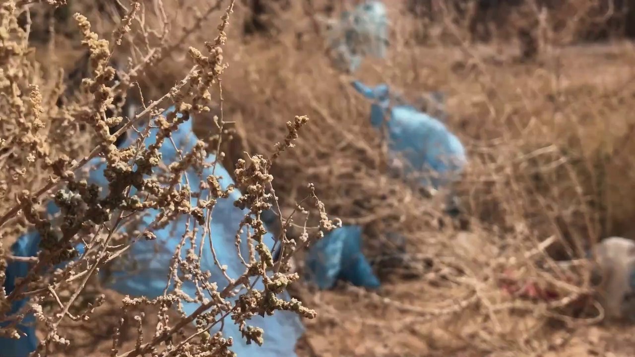 L'Algérie plastique : Le combat d'un peuple de Wassila Khiar
