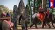 2020. Kamboja hapus atraksi menunggang gajah di Angkor Wat - TomoNews