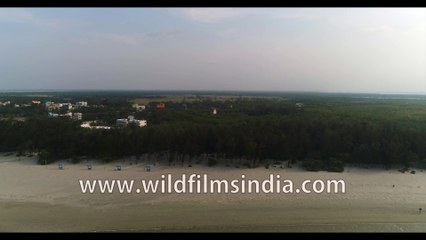 Скачать видео: Bird's eye view Bakkhali Beach during low tide, the unique life of  Bay of Bengal, West Bengal, India, 4k stock footage