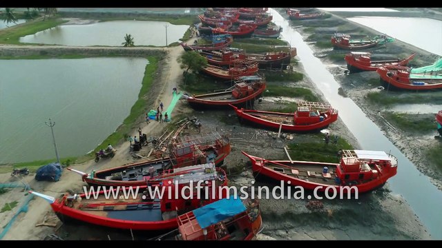 Aerial view of stunning water ways and fishing boats parked during low tide under Dashmile Bridge-4K stock footage