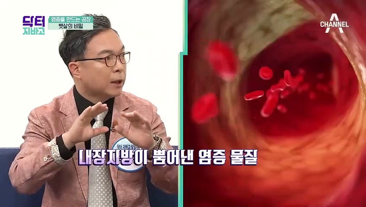 ※충격※ 내장지방이 염증을 만든다?! 급사의 위험을 높이는 내장지방!