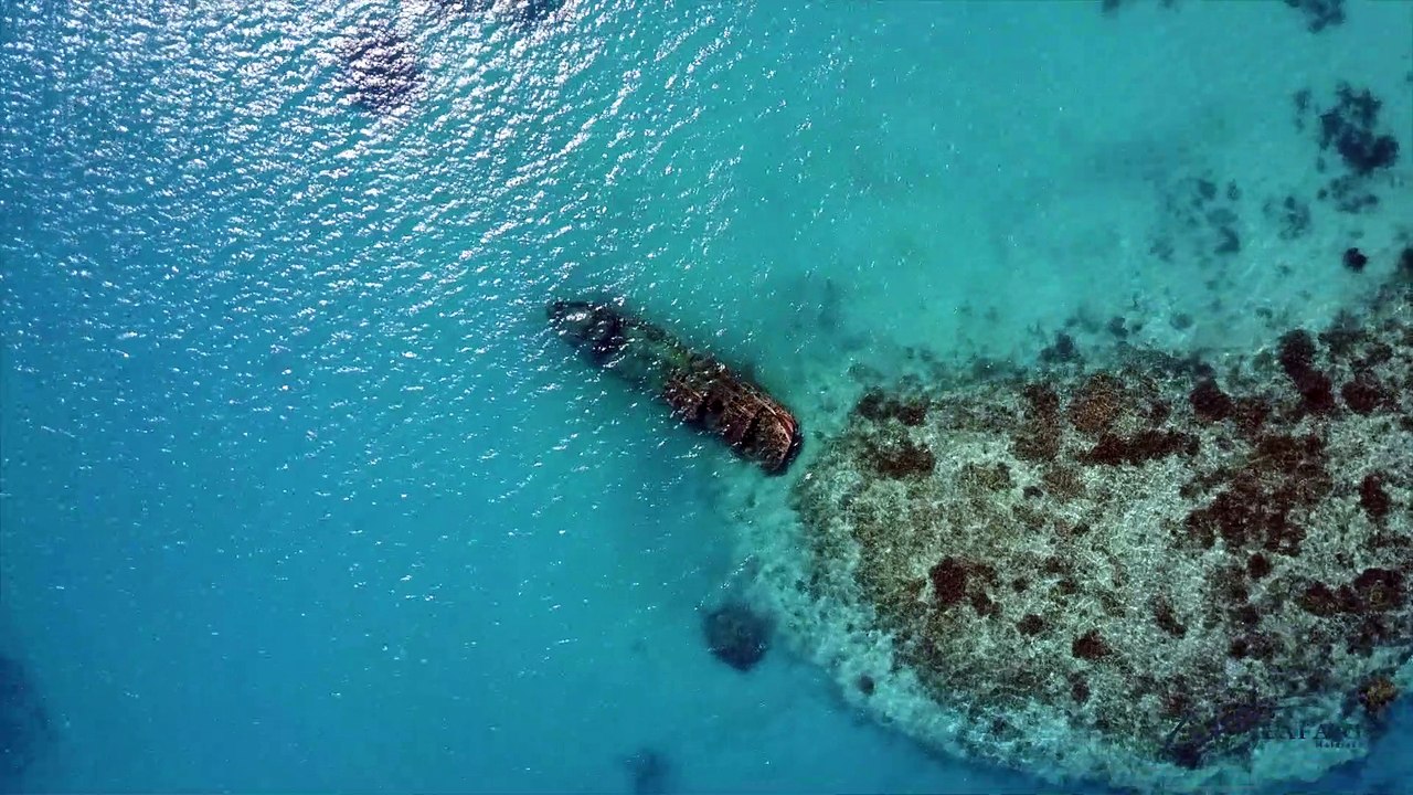 SEAFARI liveaboard cruises in the Maldives