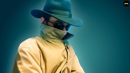 STALKER PRO