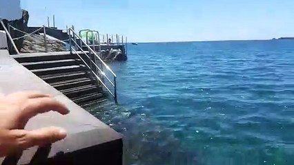 Medusas y suciedad en El Porís de Abona