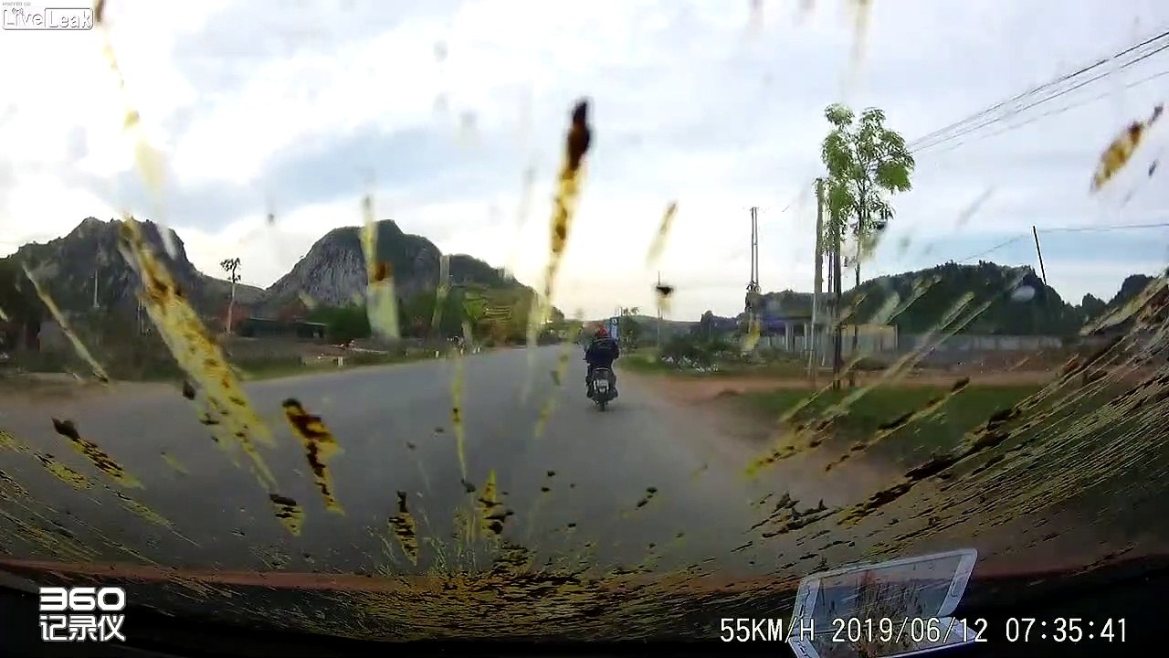 Une bouse de vache s'envole sur cette voiture !