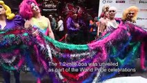 Rainbow feather boa breaks Guinness World Record in New York