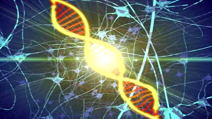 Dino Squad - The Lost Worldwide Web | HD fll eps | Dinosaur cartns for children