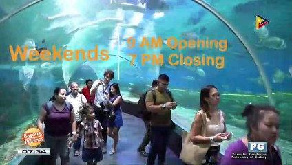 FRIDATES: Manila Ocean Park