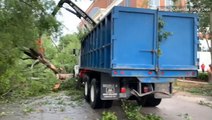 Crews cleanup downed trees after strong storm