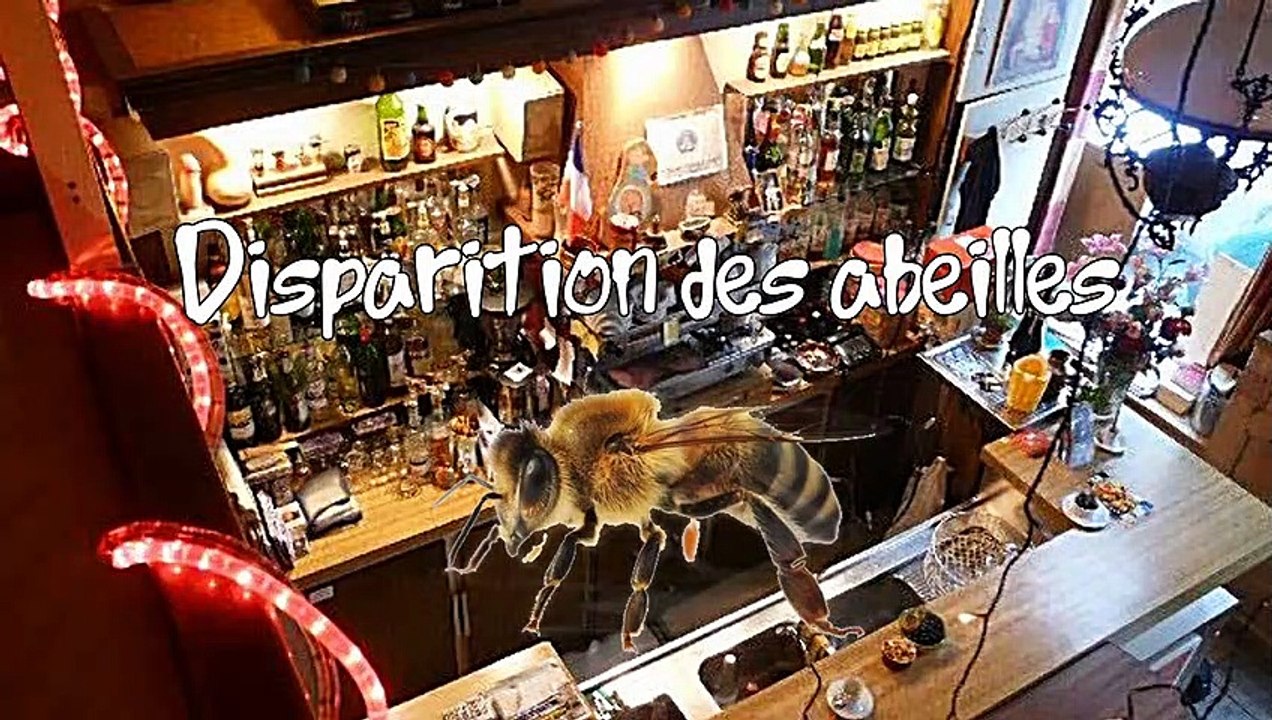 Brèves de comptoir - Disparition des abeilles