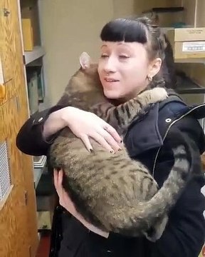 Cette chatte aime beaucoup les gros câlins. Tellement émouvant !!