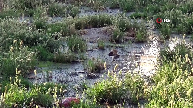 Diyarbakır’da alt yapısı olmayan mahalle... Salgın hastalıklardan korkan mahalle sakinleri, çözüm istiyor
