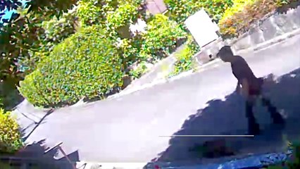 EDR June #17 2019 Suspicious Gas Company Car and Unfamiliar People