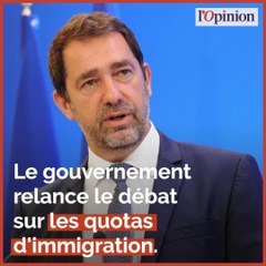 Quotas d’immigration: Christophe Castaner relance le débat