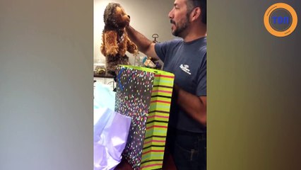 Elle annonce à son père qu’elle  est enceinte pour la fête des pères !