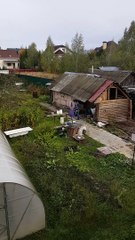 Puma Chases Man in Backyard