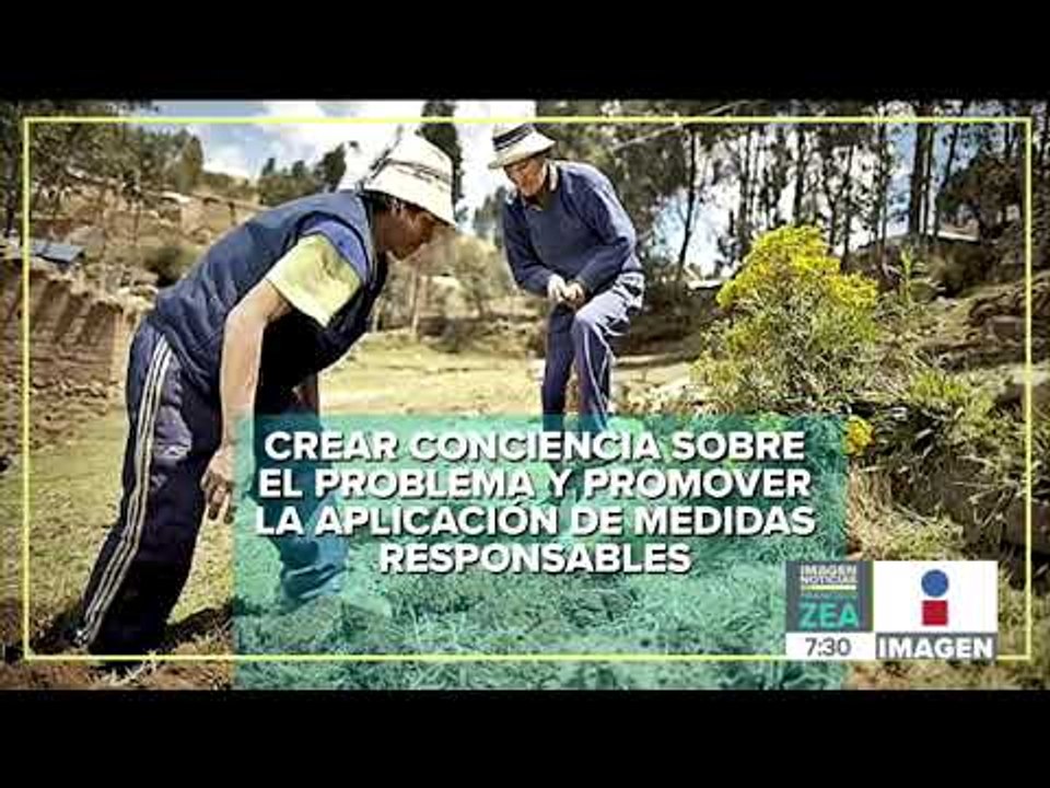 Día Mundial contra la Desertificación y la sequ...