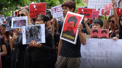 Protesters in Germany show support for Hong Kong over the extradition bill